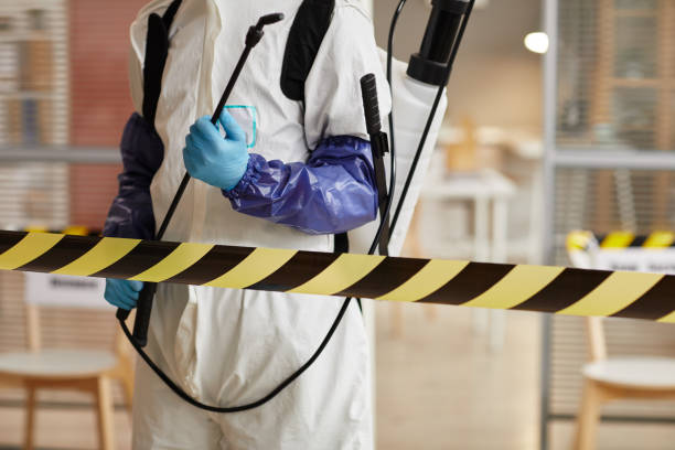 Professional Odor Removal technician working in Trenton, MO